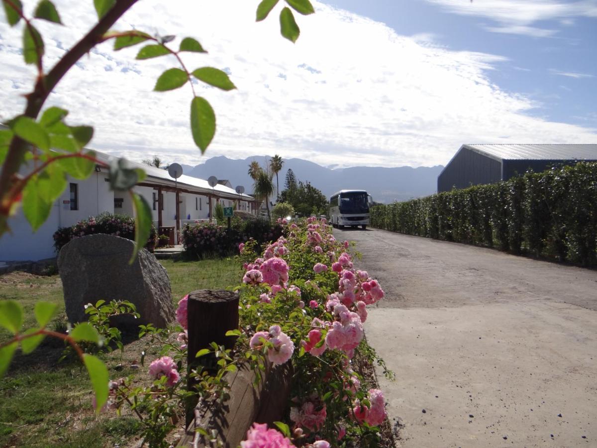 Middelplaas Paarl Guesthouse Eksteriør billede