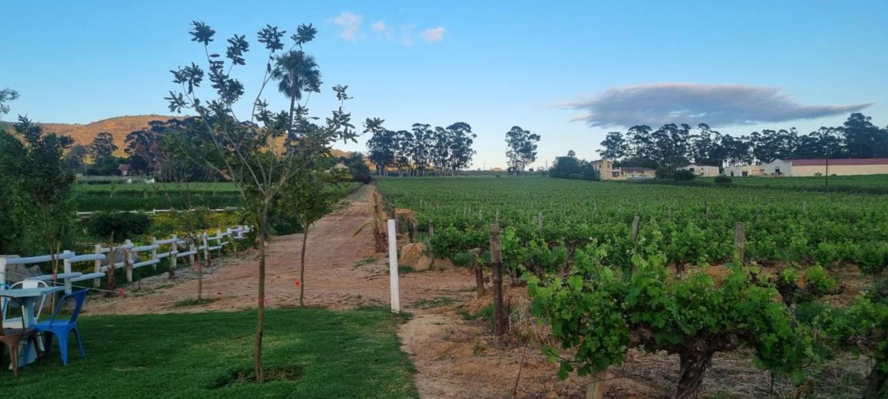 Middelplaas Paarl Guesthouse Eksteriør billede