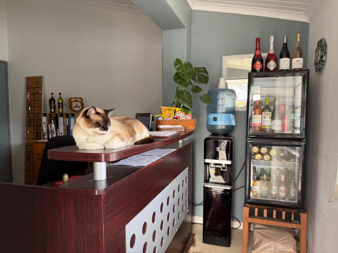 Middelplaas Paarl Guesthouse Eksteriør billede