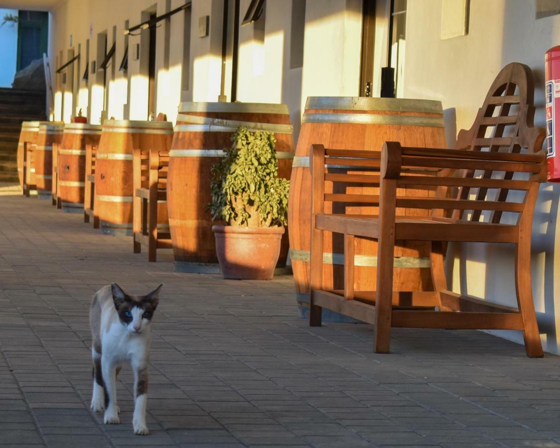 Middelplaas Paarl Guesthouse Eksteriør billede